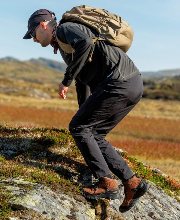 Men's Targhee IV Waterproof Hiking Boot | Coyote/Gold Flame