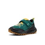 Little Kid's Jasper Zionic Sneaker  |  Mediterranea/Cabbage