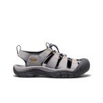 Men's Newport H2 Sandal  |  Alloy/Cream Gold