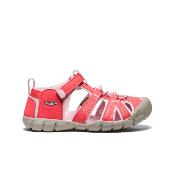 Big Kids' Seacamp II CNX  |  Dubarry/Giggle Pink