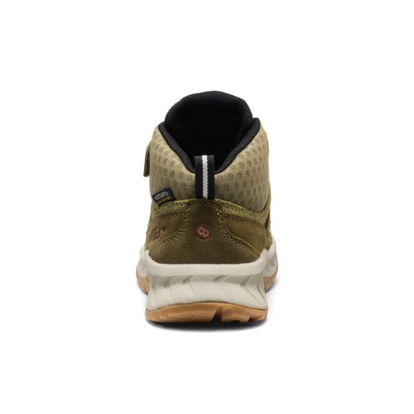Little Kids' Hightrail Waterproof Hiking Boot  |  Dark Olive/Martini Olive