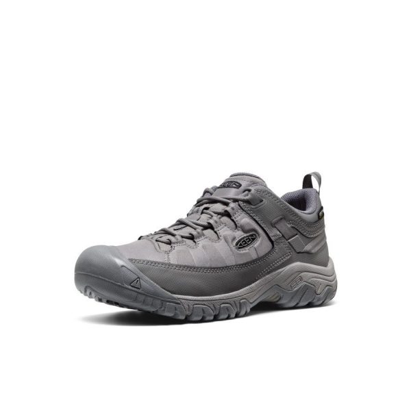 Men's Targhee EXP Waterproof Hiking Shoe  |  Steel Grey