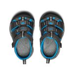 Toddlers' Newport H2 | Magnet/Brilliant Blue