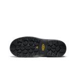 Men's Evanston 6 Insulated Waterproof Boot (Carbon Toe) | Bison/Black