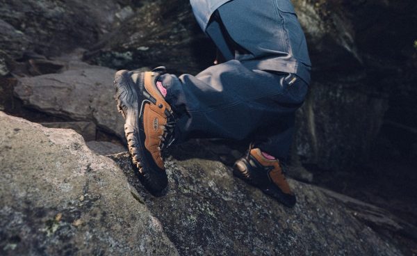 Men's Targhee IV Waterproof Hiking Shoe  |  Java/Bison