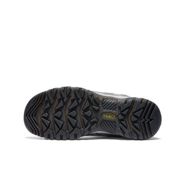 Women's Targhee IV Waterproof Hiking Shoe | Alloy/Granite Green