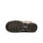 Women's Targhee IV Waterproof Hiking Boot | Coyote/Peach Fuzz