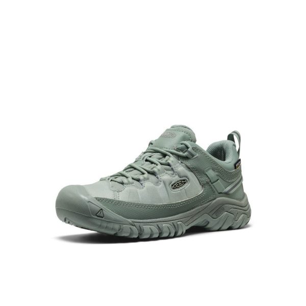 Women's Targhee EXP Waterproof Hiking Shoe | Lily Pad/Lily Pad