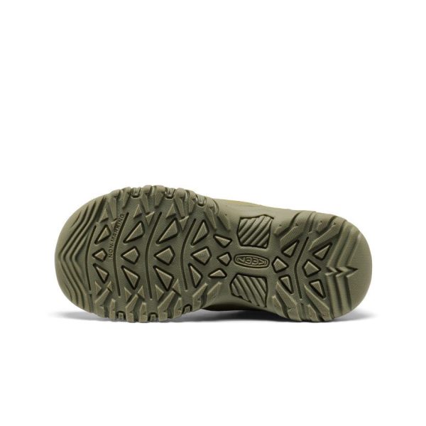 Big Kids' Targhee IV Waterproof Hiking Shoe | Martini Olive