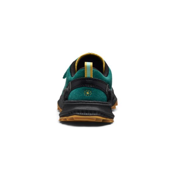 Little Kid's Jasper Zionic Sneaker  |  Mediterranea/Cabbage