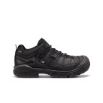 Men's Targhee IV Waterproof Work Shoe (Soft Toe) | Black/Black