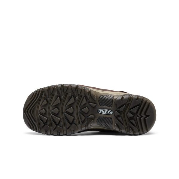 Men's Targhee IV Waterproof Hiking Shoe  |  Java/Bison