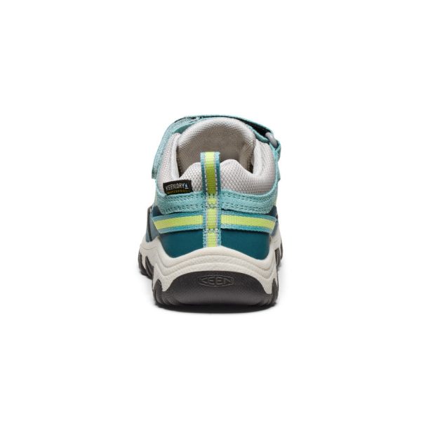 Little Kids' Targhee IV Waterproof Hiking Shoe  |  Reef Waters/Daiquiri Green