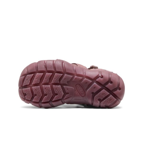 Little Kids' Seacamp II CNX namuk Sandal  |  Mauve