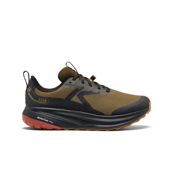 Men's Roam Waterproof Trail Running Shoe | Dark Olive/Burnt Brick