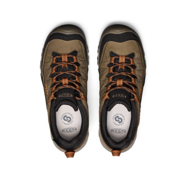 Men's Targhee IV Wide Waterproof Hiking Shoe  |  Sea Turtle/Roasted Pecan