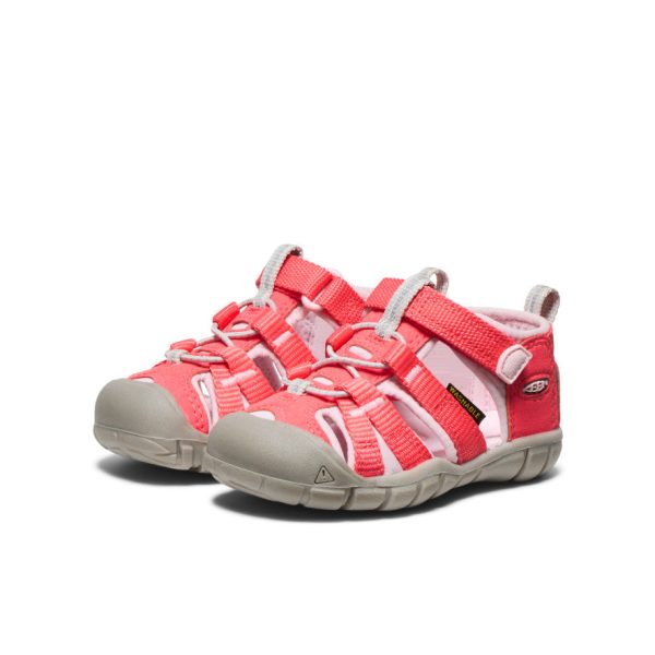 Toddlers' Seacamp II CNX  |  Dubarry/Giggle Pink