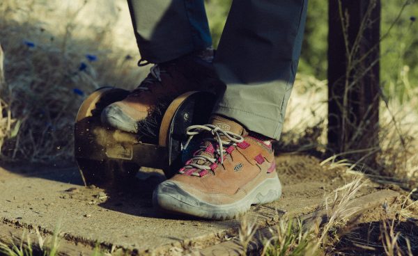 Women's Targhee IV Waterproof Hiking Shoe  |  Bison/Beaujolais
