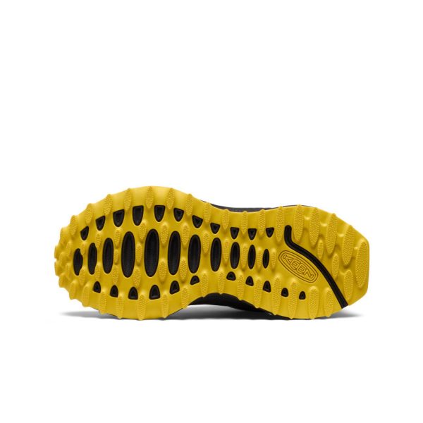 Big Kids' Zionic Waterproof Shoe | Huckleberry/Black