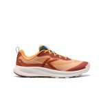 Men's Wander Trail Running Shoe | Fossil Orange/Carrot Curl