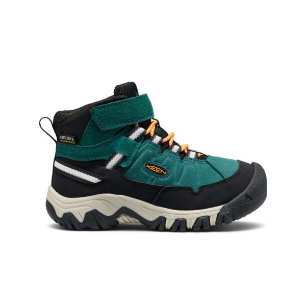 Little Kids' Targhee IV Waterproof Hiking Boot  |  Mediterranea/Flame Orange