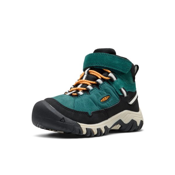 Little Kids' Targhee IV Waterproof Hiking Boot  |  Mediterranea/Flame Orange