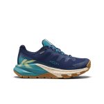 Women's Targhee Apex Waterproof Hiking Shoe | Naval Academy/Brittany Blue