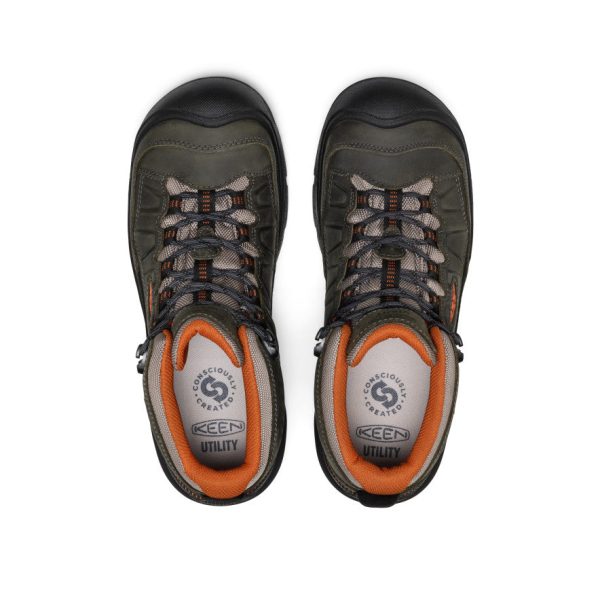 Men's Targhee IV Waterproof Work Boot (Carbon Toe) | Magnet/Black