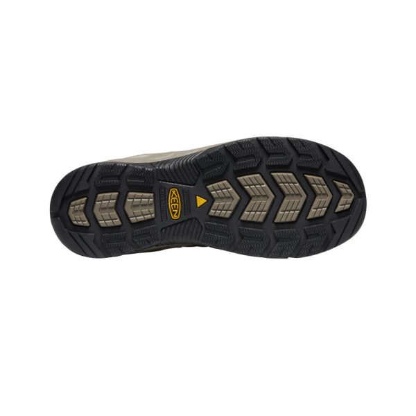 Men's Flint II Waterproof (Steel Toe) | Cascade Brown/Orion Blue