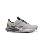 Men's Targhee Apex Waterproof Hiking Shoe | Alloy/Evening Primrose