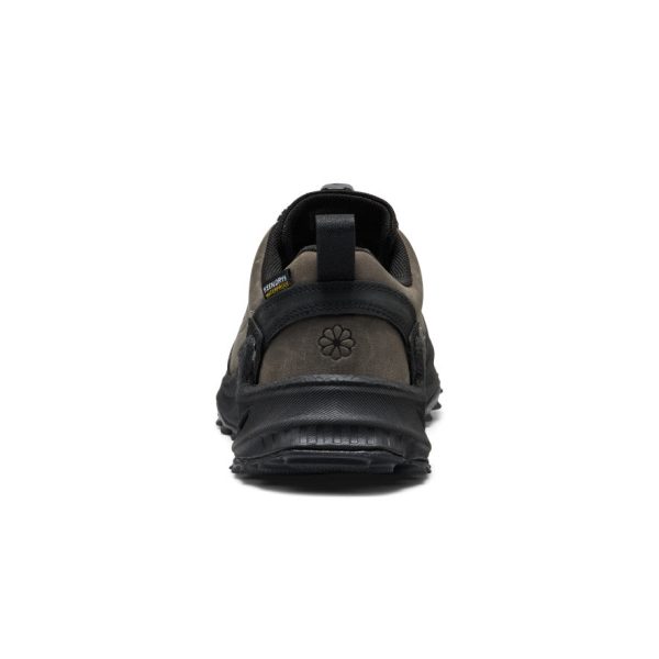 Women's Jasper Zionic Waterproof Sneaker  |  Steel Grey/Black