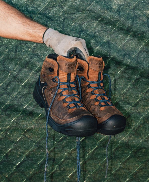 Men's Targhee IV LTR Waterproof Work Boot (Carbon Toe)  |  Bison/Black