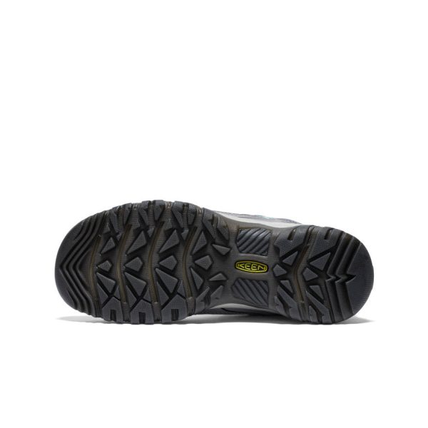 Women's Targhee IV Waterproof Hiking Shoe  |  Alloy/Granite Green