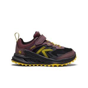 Little Kids' Zionic Waterproof Shoe  |  Huckleberry/Black