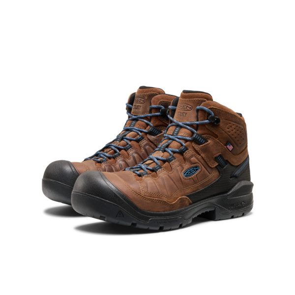 Men's Targhee IV LTR Waterproof Work Boot (Carbon Toe)  |  Bison/Black