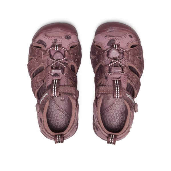 Little Kids' Seacamp II CNX namuk Sandal  |  Mauve