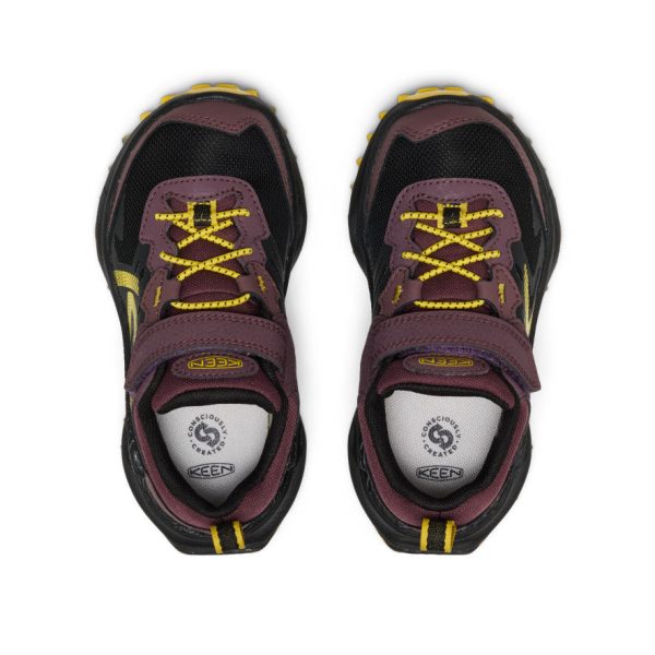 Little Kids' Zionic Waterproof Shoe | Huckleberry/Black