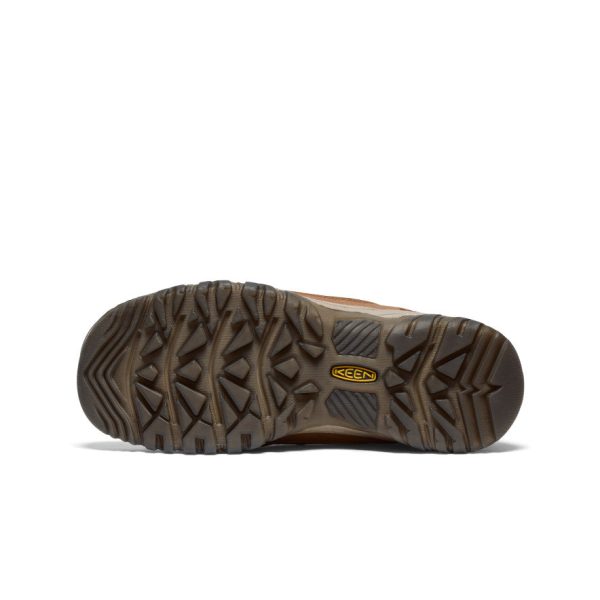 Women's Targhee IV Waterproof Hiking Shoe  |  Bison/Beaujolais